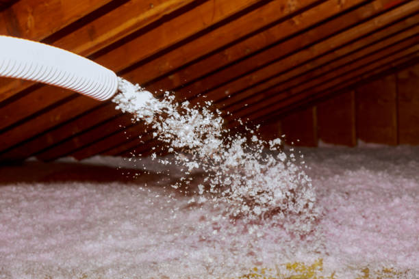 Best Basement Insulation  in George, IA