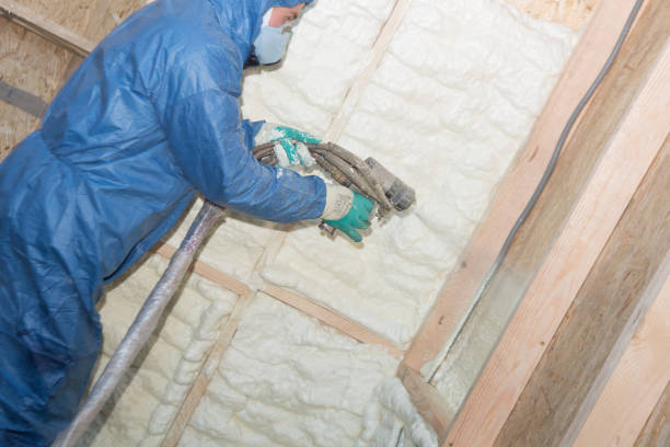 Best Insulation Air Sealing  in George, IA